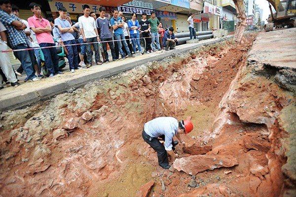 <p>Çin'in güneyindeki Guangdong eyaletinde bulunan Heyuan kentinde 43 dinozor yumurtası bulundu. Dünyanın en fazla dinozor yumurtası fosiline sahip olması sebebiyle 'Dinozorların Evi' olarak da anılan kent, 2004 yılında Guinness Rekorlar Kitabı'na girmişti.</p>
<p> </p>