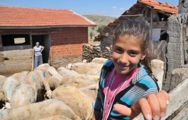 <p>Eşme`de çobanlık yaparak geçimini sağlayan Cihan ve Gülay çiftinin kızları 14 yaşındaki Aysu Paralı, ay yıldızlı formayla 11-14 Aralık`ta Sırbistan`ın Senta Serbia şehrinde düzenlenen Balkan Şampiyonası`nda minik kızlar 34 kiloda Bulgar, Sırp ve Moldovalı rakiplerini yenerek, altın madalya kazandı.</p>