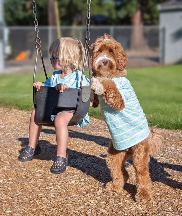 <p>Evlatlık Buddy ve sevimli labradoodle cinsi köpeği Reagan, Instagram'da ünlü oldular.</p>
