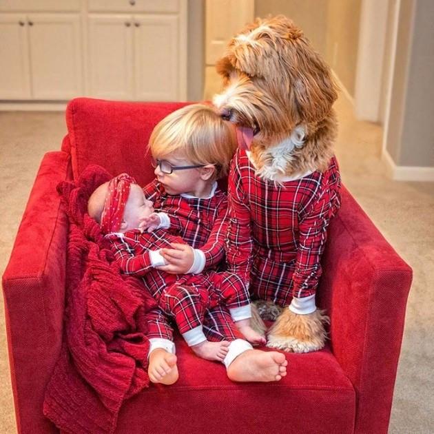 <p>Reagan hem çocuklarla hem de diğer köpeklerle harika bir köpek. Tanıştığı herkesi hemen seviyor.</p>