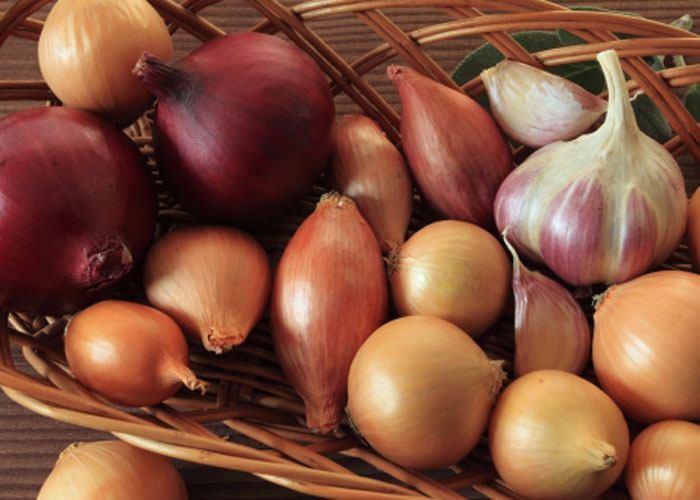 <p>Kanserle mücadeleden cilt sağlığının korunmasına, enfeksiyon hastalıklarının tedavisinden, zayıflamaya birçok hastalıktan korunma ve tedavisi için çok fayda saylar.</p>
