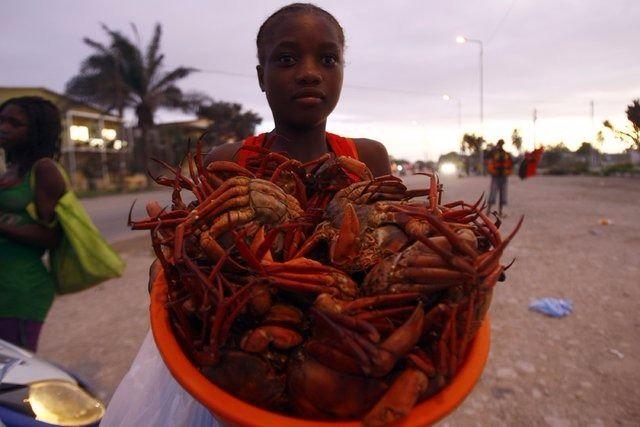<p>Angola: 22.4 kg</p>
<p> </p>