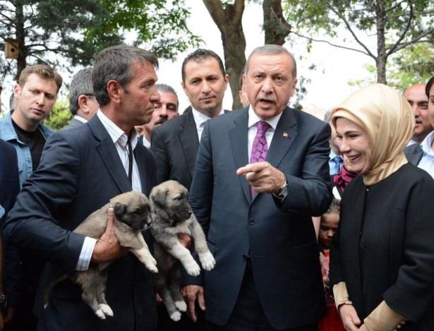 <p>Aksaray'da temaslarda bulunan Cumhurbaşkanı Erdoğan'a iki adet yavru köpek hediye edildi. O anlarda Erdoğan'ın neşeli sohbeti dikkat çekti.</p>
