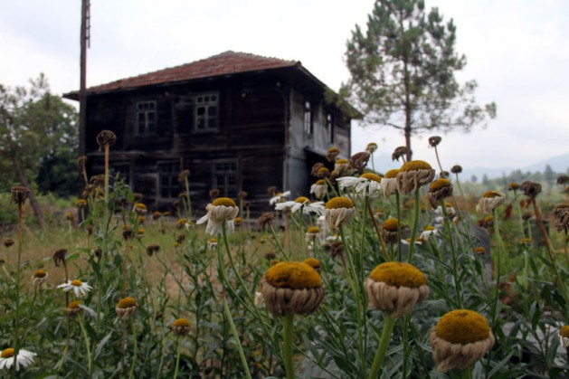 Selçuklular'dan miras ahşap camiler