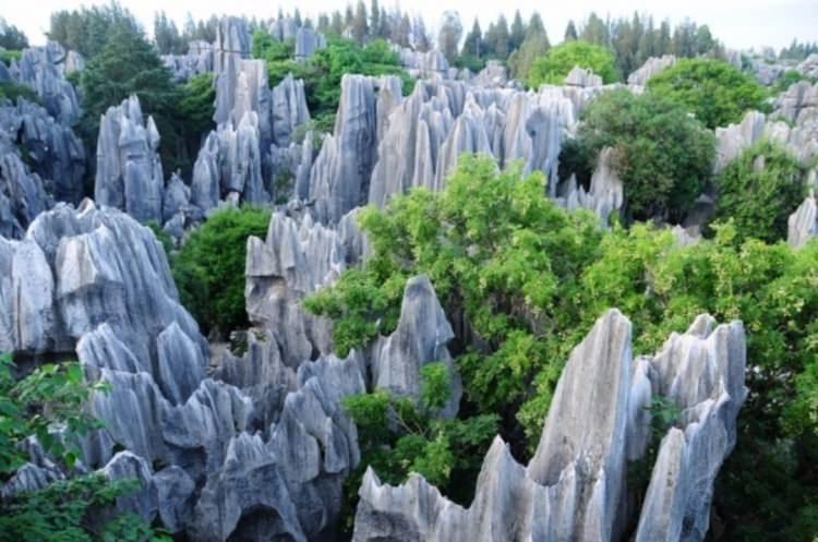 <p>270 milyon yıllık taş orman</p>

<p>Tam 400 kilometrelik bir alana yayılmış olan, dünyanın kayalardan oluşmuş en büyüleyici yapısı, Çin’deki Taş Orman. Ormandaki kayalar, kireç ve suyun etkileşimiyle çok uzun yıllar içinde oluşmuş.</p>
