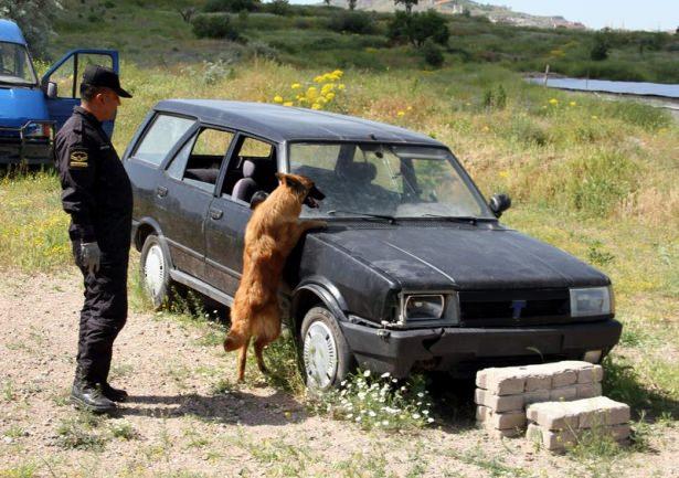 <p>Merkezde eğitilen köpekler Türkiye’nin dört bir yanında Jandarma güçleri ile birlikte görev yaparken zorlu bir eğitim sürecinden geçiyor.</p>
