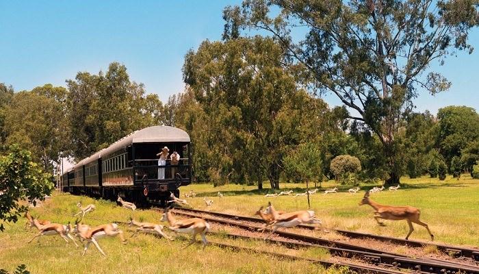 <p><strong>Rovos Rail – Cape Town’dan Darüesselam’a</strong></p>
<p><strong>18.900 Dolar</strong></p>
<p>Güney Afrika ve Tanzanya içerikli bu tur 6.000 kilometrelik bir alanı kaplıyor. Bu mesafe 17 gün 16 gecede tamamlanır. Kraliyet olanaklarıyla ünlenen tur oldukça lükstür. Bu tren size Agatha Christie’nin romanlarını ve Viktorya dönemini hatırlatacaktır.</p>
<p>Pencereden dışarı baktığınızda Afrika kıtası hoş manzarasıyla sizi büyüleyecek. Tur boyunca büyük ovalar, şehirler, ormanlar, insanlar, yaban hayatı, safari, şehirler, dağlar ve çok daha fazlasını bulacaksınız. Bu muhteşem gezi, Afrika hakkında hayallerinizdeki tüm heyecan verici özellikleri sunar.</p>