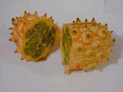 <p><strong>Boynuzlu Kavun-Afrika salatalığı-Horned Melon</strong><br />
<br />
Afrika salatalığı olarak da bilinen kavun, yılda bir kere meyve veren bir asma türüdür. Afrika anavatanıdır ama Kaliforniya, Avustralya, Yeni Zellanda ve Şili'de de bulunur. Olgunlaştığında kalın sivri kabuğu oluşur. Eti parlak yeşil, jöle kıvamındadır. Tadı muza benzesede de çekirdekleri bakımından domates ve salatalığı andırır. Sivri çıkıntılı kabuğu yenebilir, C vitamini ve lif bakımından zengindir.</p>

<p> </p>
