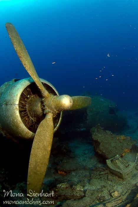 <p><strong>SUALTI DÜNYASINDA İNANILMAZ KEŞİFLER VE BULUŞLAR</strong></p>
