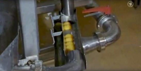 <p>Hem sarılar hem de beyazlar güzelce karıştırılıyor ve önce yumurta beyazları ortası boş bir kalıba dökülüyor ve biraz pişiriliyor. </p>
