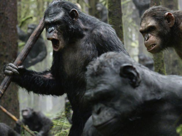 Genleri değiştirilerek, insan üstü özellikler kazanan isyancı maymun Caesar'ın başlattığı isyanın on sene sonrasında geçen film, devrimci Caesar'ın diğer maymunları örgütleyerek, gezegeni ele geçirme mücadelesine girişme öyküsünü anlatıyor.