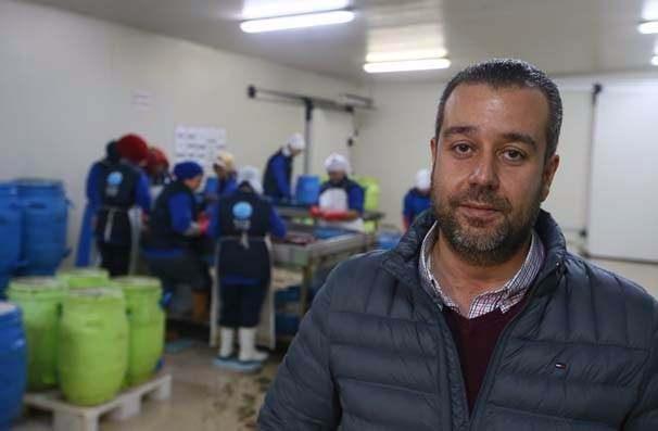 <p>Kösel, izin verilen sahalar dışında ve yumurtalama döneminde avcılığının yasaklandığını, dalgıçların canlı olarak teslim ettiği deniz patlıcanlarının kesilerek temizlendiğini, içindeki organlarının çıkarıldığını, pişirilip, paketlendikten sonra da dondurularak ihracata hazır hale getirildiğini anlattı.</p>

<p> </p>
