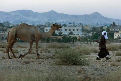 1. Eriha, Pakistan Milattan önce 9000 yılı
