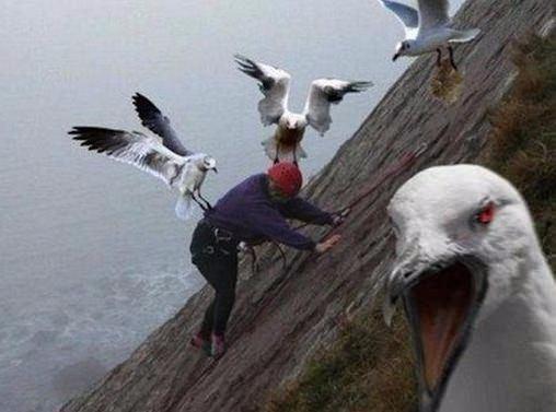 <p>Hayvanların insanlara saldırı anı saniye saniye görüntülendi</p>

<p> </p>
