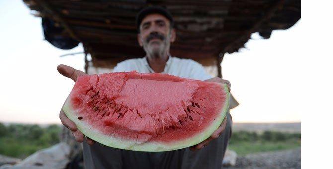 <p><strong>Diyarbakır karpuzu</strong></p>
