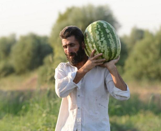 <p>İri karpuzların dikkat çektiğini, bu nedenle birilerinin çalabileceği veya zarar vereceği endişesiyle tarlada nöbete başladıklarını ifade eden Kaya, "Yatağımız, döşeğimiz burada. Çünkü karpuzlarımızı kesebilirler, kıskanıp bıçaklayabilirler. O sebeple burada nöbet tutmaya mecburuz" dedi.</p>

