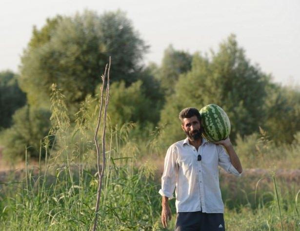 <p>Yerli tohumlarla yetiştirilen karpuzun maksimum 55-60 kilogram ağırlığında olduğunu, Amerika ve İsrail'den getirilen tohumlarla yetiştirilen karpuzların ise ağırlığının 65-70 kilograma ulaştığına işaret eden Battal, şöyle dedi:</p>

<p> </p>
