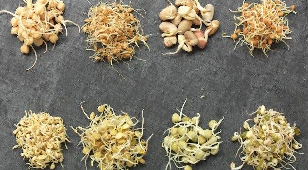 <p>Baklagilleri filizlendirerek ya da haşlayarak tüketin.</p>
