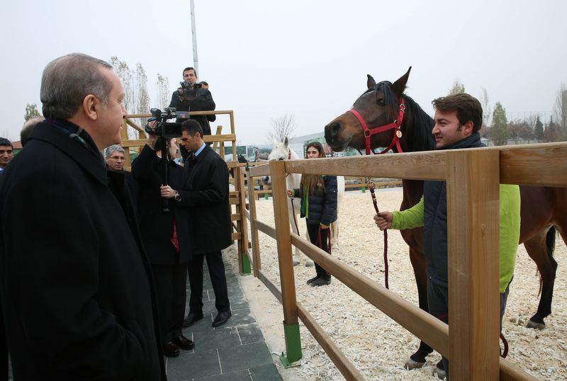 <p>Hipoterapi, engelli bireylerin kas gelişimlerini, denge, duruş ve hareket gelişimlerini sağlıyor.</p>

<p> </p>
