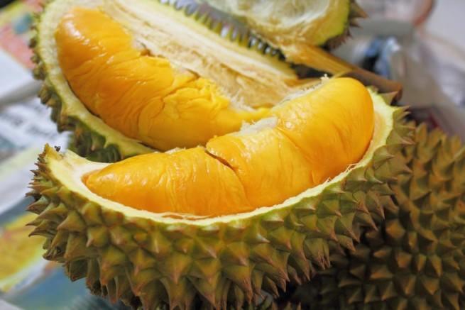<p>Çıplak elle tutulamamasına rağmen bıçak yardımıyla çok kolay soyulabilen durian'ın içi birçok meyveden daha yumuşaktır.</p>
