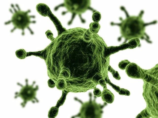 <p><strong>Yanlış. Soğuk algınlığının sebebi virüslerdir ve antibiyotik virüslere hiçbir şey yapamaz.</strong></p>