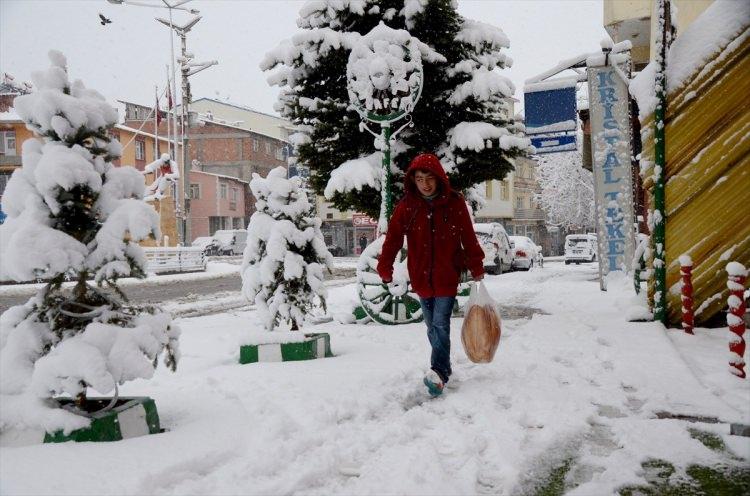 <p>KARS</p>
