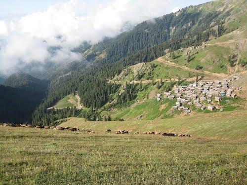 <p>Atalarından kalan yaylacılık geleneğini sürdürmeye çalıştıklarını da vurgulayan Genç “Büyüklerimiz zamanında en doğru yeri seçmiş.</p>
