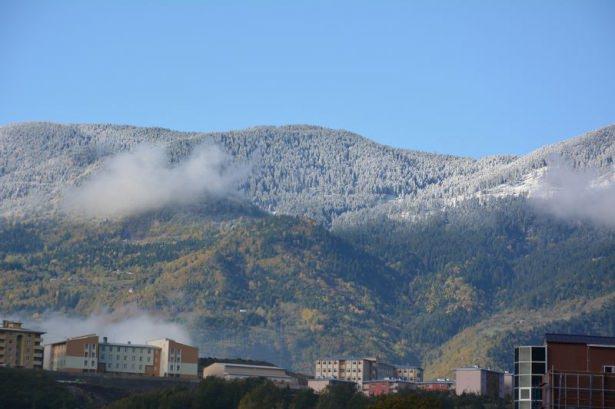 <p>GÜMÜŞHANE</p>

