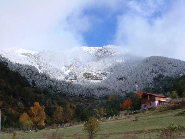 <p>GÜMÜŞHANE</p>

