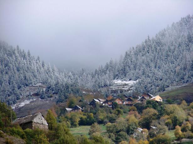 <p>GÜMÜŞHANE</p>
