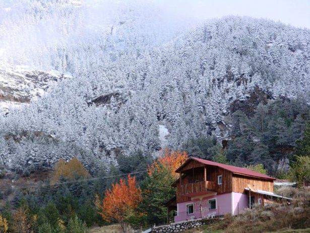 <p>GÜMÜŞHANE</p>

