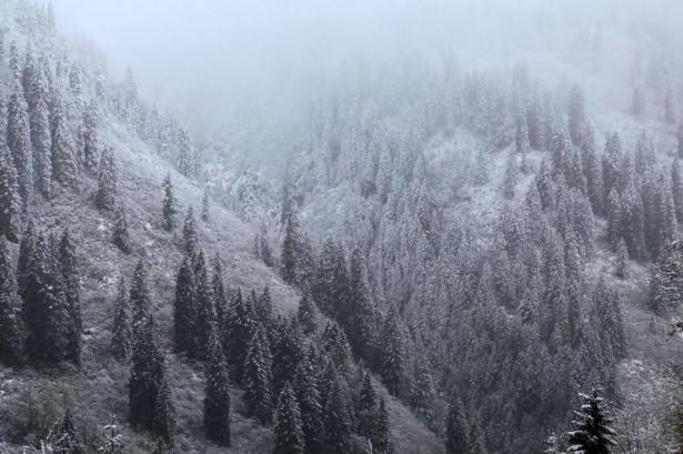 <p>Doğu Karadeniz'de son günlerde etkili olan soğuk hava ve yağmurun ardından Rize'nin yüksek kesimleri beyeza büründü</p>
