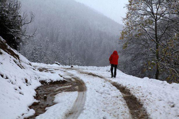 <p>RİZE</p>
