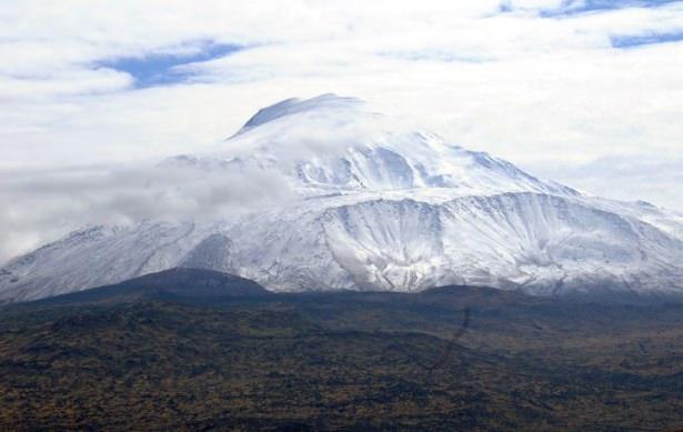 <p>AĞRI</p>
