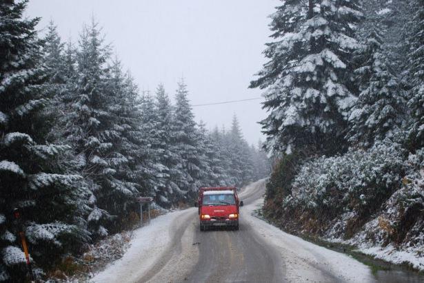 <p>ORDU</p>
