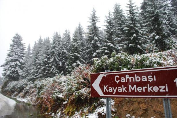 <p>ORDU</p>
