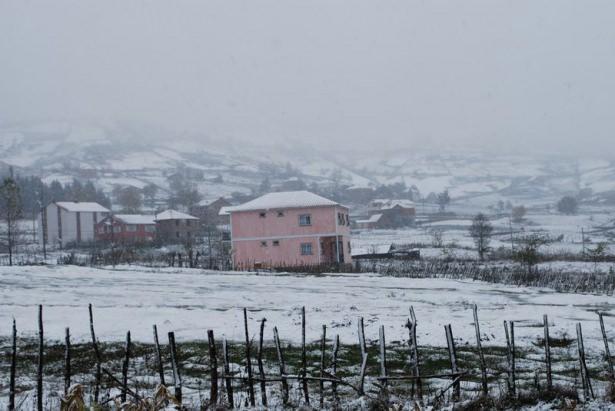 <p>ORDU</p>
