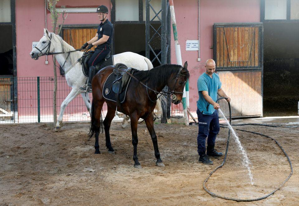 <p>Atlı polislerin İzmir Fuarı döneminde kalabalıkların yoğun olduğu, motorlu taşıtların giremediği alanlara rahatlıkla müdahale ederek asayişi de sağladığını ifade eden Kurt, Kültürpark ile 1. Kordon ve Bostanlı sahili gibi bölgelerde devriye attıklarını bildirdi.  </p>

<p> </p>
