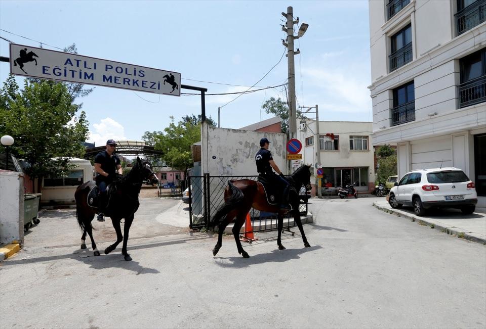 <p>"Az sayıda atlı polis, çok sayıda yaya polisin yapacağı işi kolaylıkla yapabiliyor. Atlar görkemli hayvanlar oldukları için karşısına çıkana gösterdiği heybet caydırıcılık unsuru oluyor. </p>