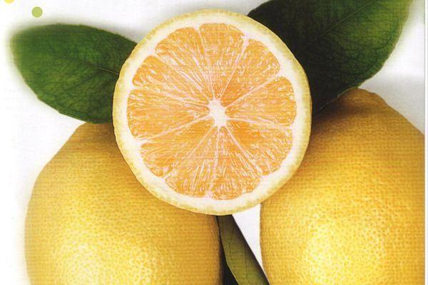 <p>20. Acıktığınızı hissettiğinizde, içine limon veya yeşil elma dilimleri eklenmiş büyük bir bardak soğuk su içerseniz, atıştırma isteğiniz belli bir miktarda giderilmiş olur.</p>

<p> </p>
