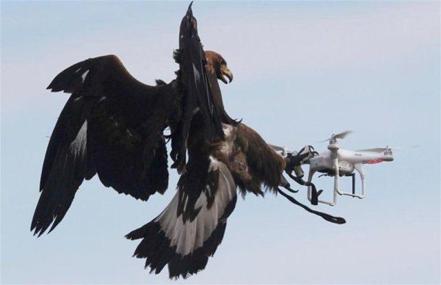<p>Drone avcısı silahlar giderek yaygınlaşırken Fransa farklı bir yöntem peşinde.</p>

<p> </p>
