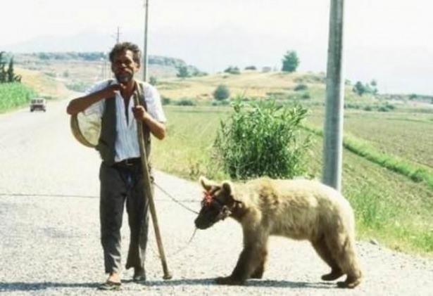 <p>Ayı oynatıcıları</p>

<p> </p>
