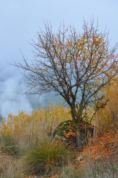 <p><strong>Sonbaharın tüm renkleriyle eşsiz göz sefası sürebilirsiniz.</strong></p>