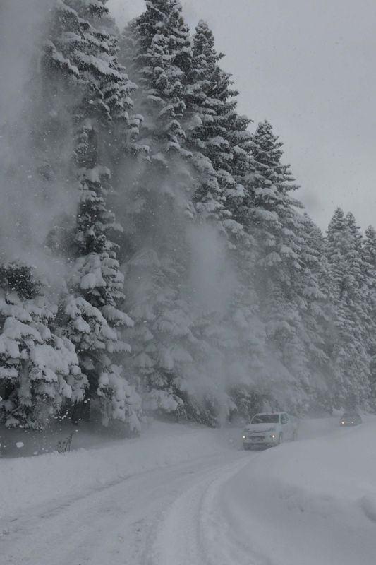 <p>BOLU</p>
