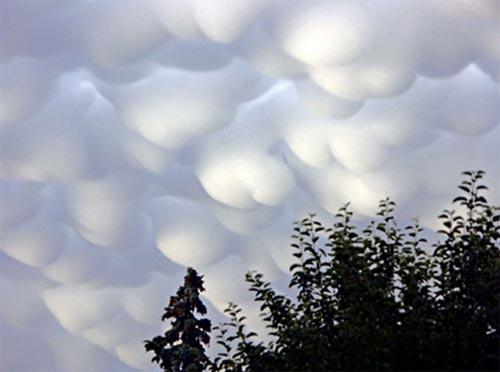 <p>Meteorolojide mammatokumulus bulutları olarak da geçiyor. Bulutların altında sarkıtların oluşması son derece ilginç görünüyor.</p>
<p> </p>