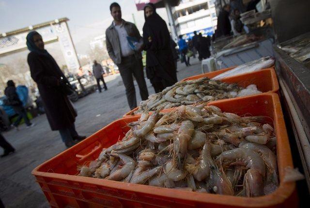 <p>İran: 36.3 kg</p>

<p> </p>
