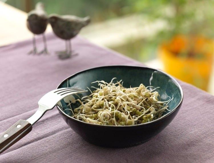 <p>Çünkü alfalfa filizleri, koliform gibi bakteriler ile kirlenebilir ve bu filizlerin büyümelerini sağlayan şartlar, bakteri gelişimini hızlandırır.</p>
