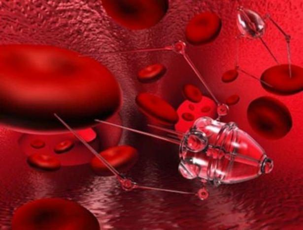 <p>Bilim insanları, dünyanın 2163 yılında nasıl bir yer haline geleceğini tartıştı. (Discovery News)</p>

<p> </p>
