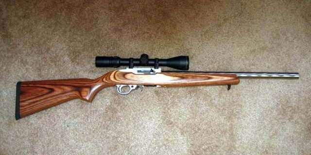 <p>Ruger 10/22</p>
