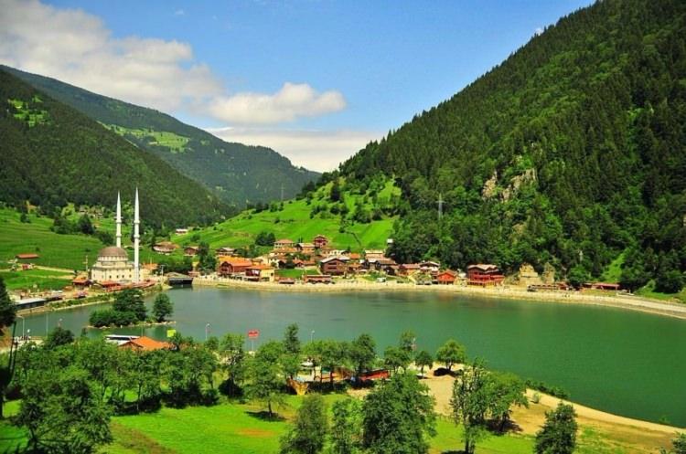 <p>Türkiye'nin çay yetiştirilen tek yöresi Doğu Karadeniz'dir.</p>